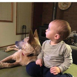 Meet your Posher, Deborah